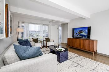 Living room flooded with natural light